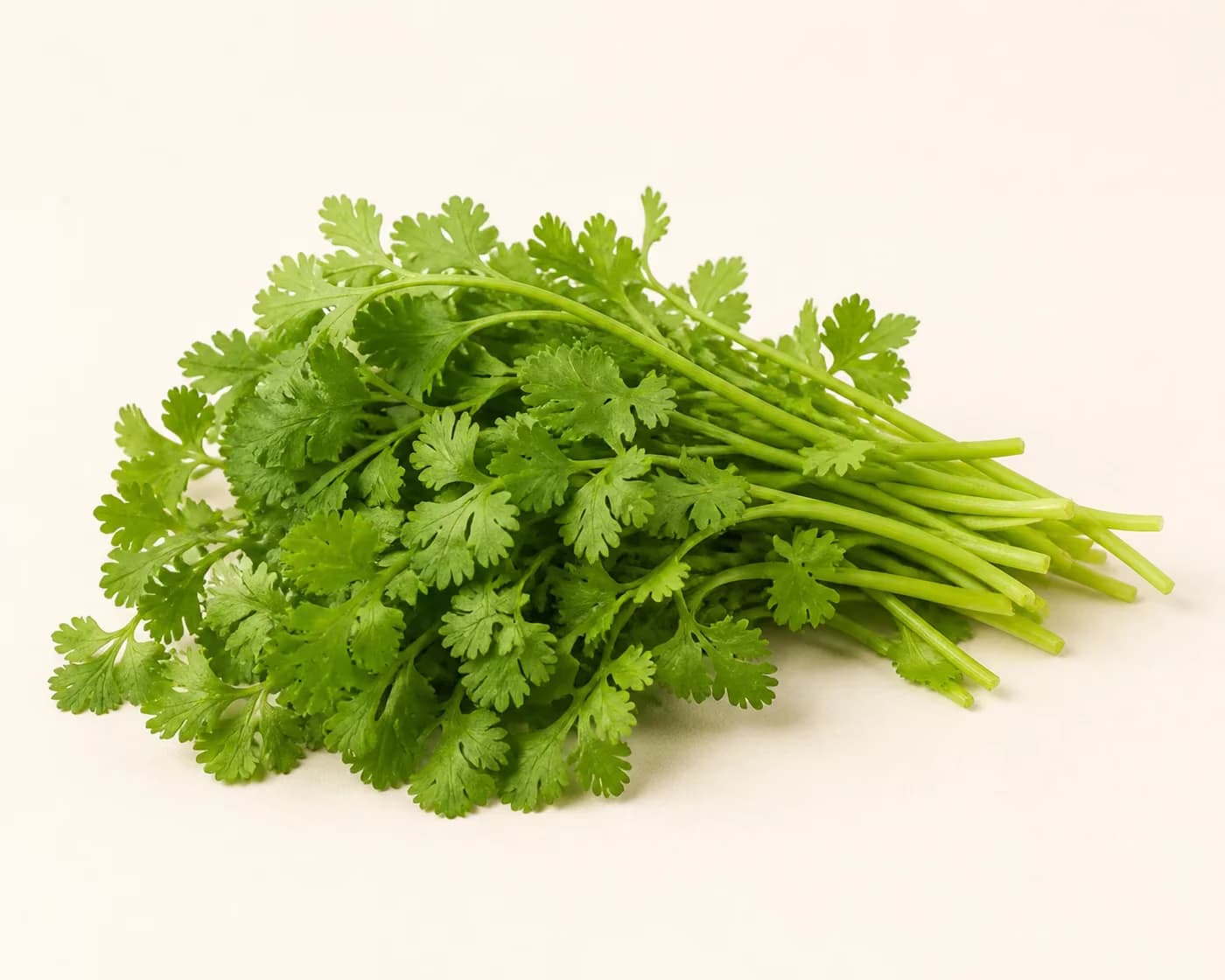 Coriander — centered product view