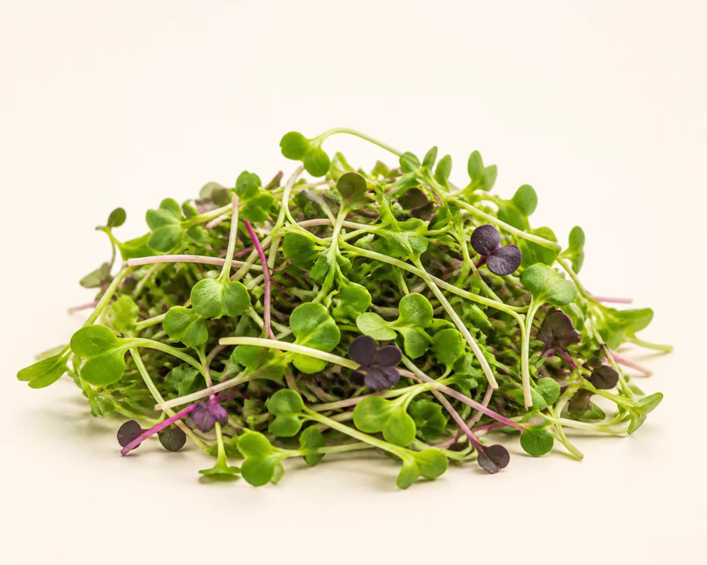 Fresh Microgreens Mix arranged on a warm off-white surface.